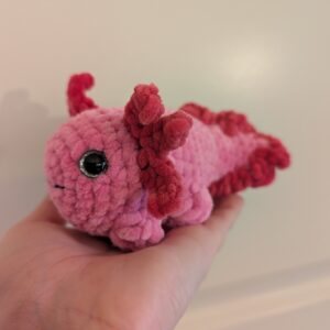 Rosa axolotl