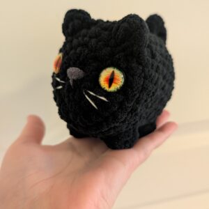 Sort katt