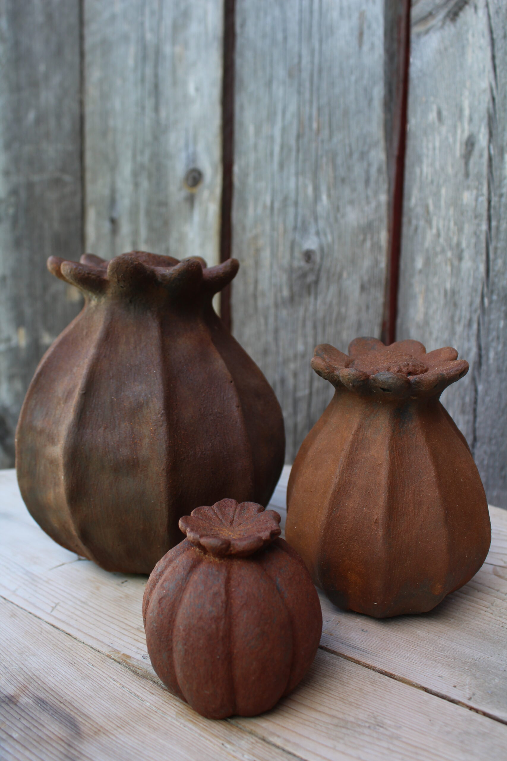 Medium valmuekapsel i rustfinish - Bilde 2