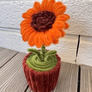 Oransje solsikke